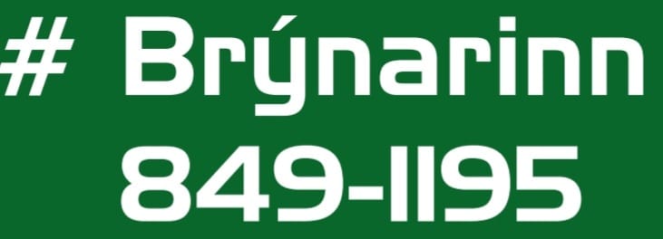 https://www.treverkfridriks.info/wp-content/uploads/2022/06/Segul-mottur-1.jpg
